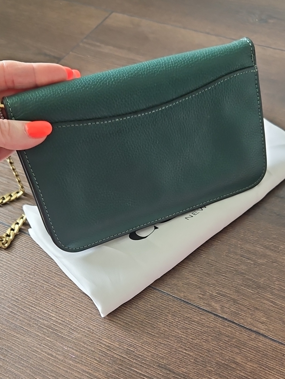 Coach Hayden Foldover Crossbody Wallet Green Pebbled Leather + Gold Chain &Dusty - Picture 15 of 15